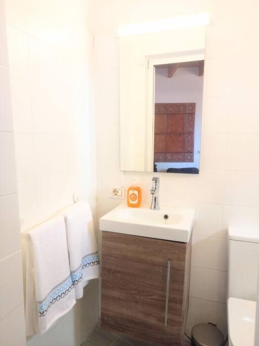 Estudio Don Antonio En El Centro De La Laguna La Laguna  Zewnętrze zdjęcie